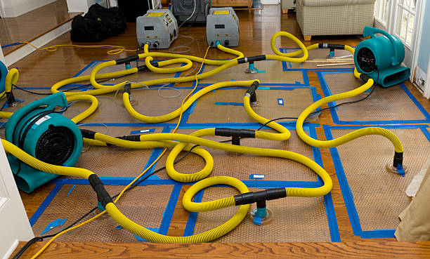 Professional Sewage Cleanup technician working in Whitelaw, WI